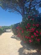 Top Monteux