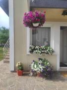 Top Delnice