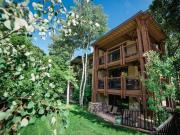 Top Aspen