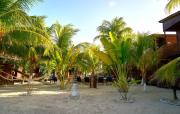 Top Isla Holbox