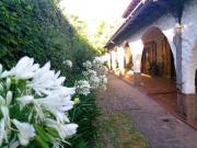 Top Monte Grande