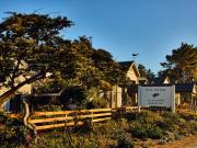 Top Mendocino
