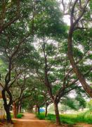 Top Hospet