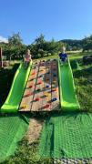 Top Ujanowice