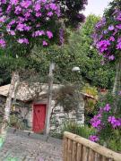 Top Santa Teresa