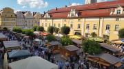 Top Bolesławiec