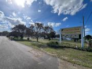 Top Winter Haven