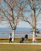 Top Murten
