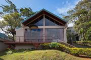 Green Forest Rustic Houses