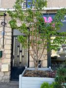 Top Craponne-sur-Arzon