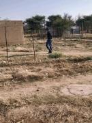 Top Mahikeng