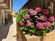 Top Guadarrama Top Guadarrama