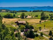 Top Bolsena
