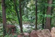 Top Washougal