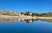 Top Smokvica