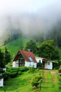 Top Vagamon Top Vagamon