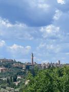 Top Siena