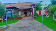 Nemoris Boho Garden House and Caravan - BBQ area