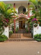 Top Anjuna