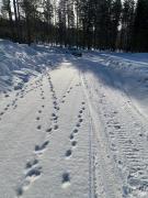 Top Älvdalen