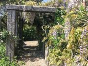 Top Wootton Fitzpaine