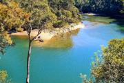 Top Forestville