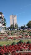 Apartman Marina Kladovo