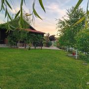 Top Gornja Toplica