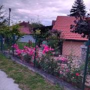 Top Gornja Toplica