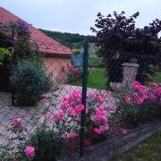 Top Gornja Toplica