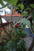 Top Trivandrum