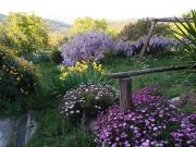 Top Montemassi