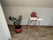 Iva Apartment, Surcin-Belgrade