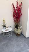 Hulin guesthouse