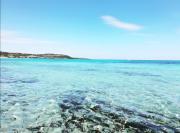 Top Capo Comino