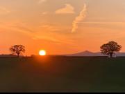Top Monmouth