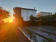 Top Montalvo