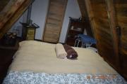Top Valdivia
