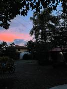 Top Alajuela
