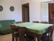 Top Urbino