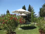 Top Urbino