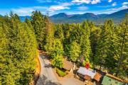 Top Packwood