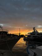 Top Zadar