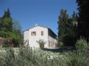 Top Urbino