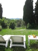 Top Urbino