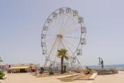 Top Gallipoli
