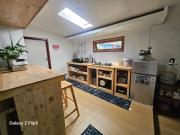 Erigeron homestay dieng
