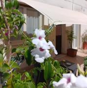 Top Bracciano