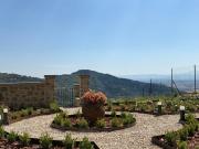 Top Cortona