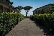 Top Sperlonga